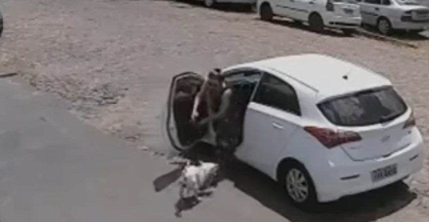 Okrutna žena izbacila invalidnog psa iz auta na ulicu i otišla