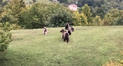 VIDEO Prolaznici snimili medvjede po povratku sa Zavižana, ljudi su oduševljeni