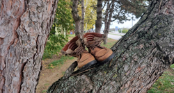 FOTO Netko je na drvetu na Jarunu ostavio čizme