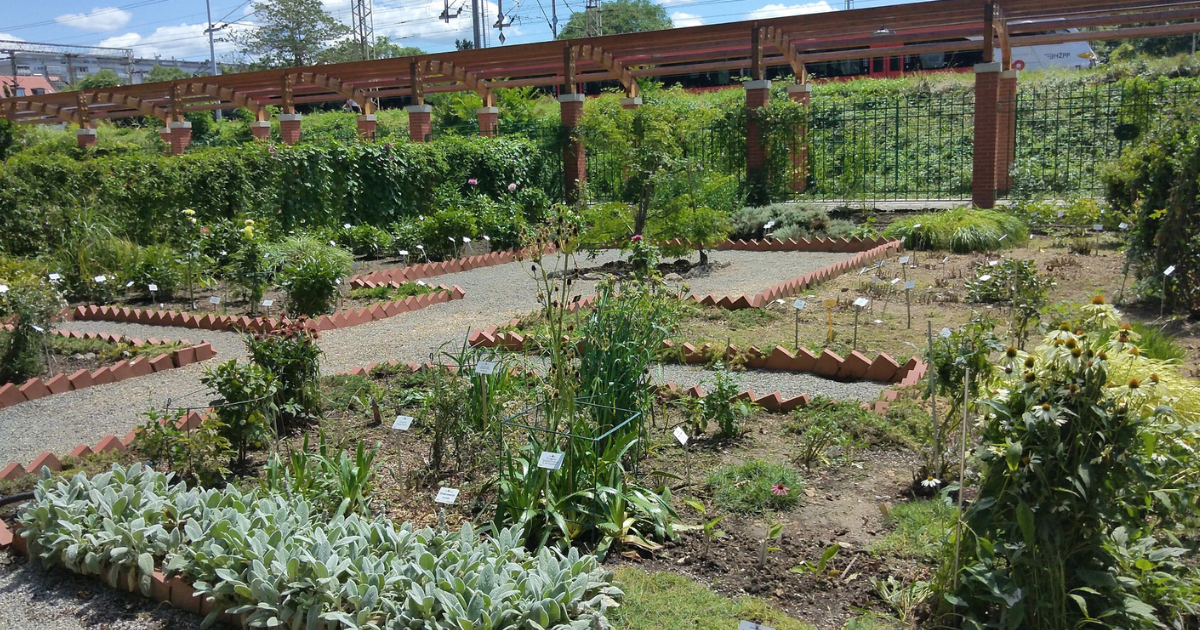 Pogledajte kako izgleda Botanički vrt u Zagrebu nekoliko dana nakon strašne oluje