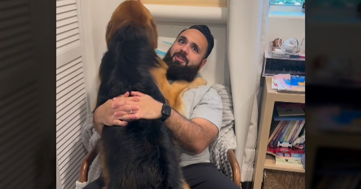 VIDEO Slatki veliki pas misli da je još štene: "Zaboravlja koliko je velik"