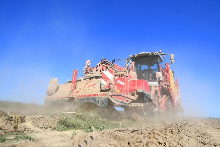 Vlada daje dva milijuna eura hrvatskim poljoprivrednicima u Srbiji