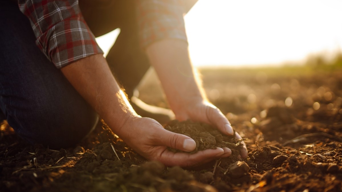 Između Drave i Dunava s obitelji uzgaja povrće i voće: "Ja sam seljak tri u jedan"