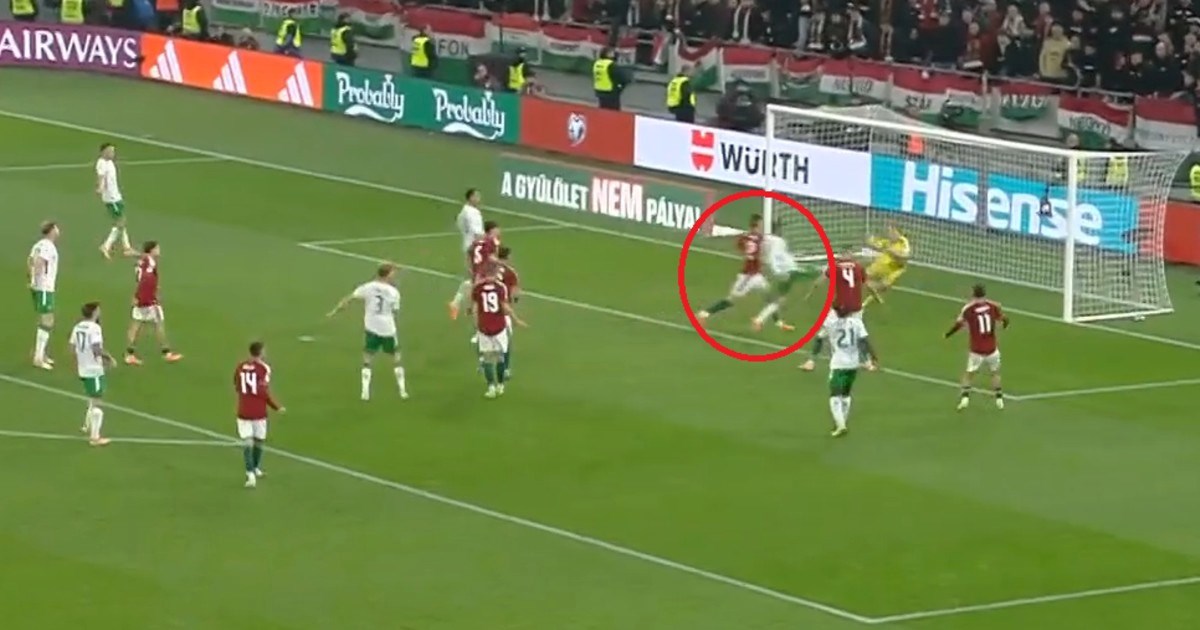 Ludnica u Budimpešti. Pogledajte gol kojim je Irska izbacila Mađarsku sa SP-a