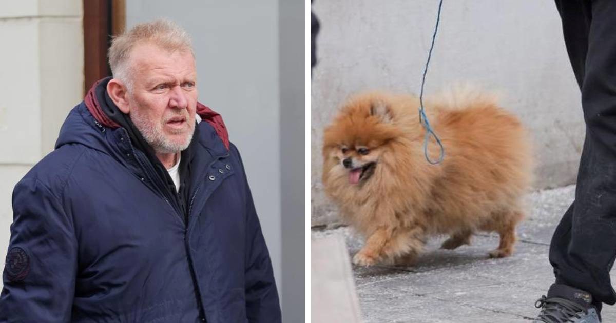 Robert Prosinečki prošetao Zagrebom s pomerancom. Kakva je to pasmina?