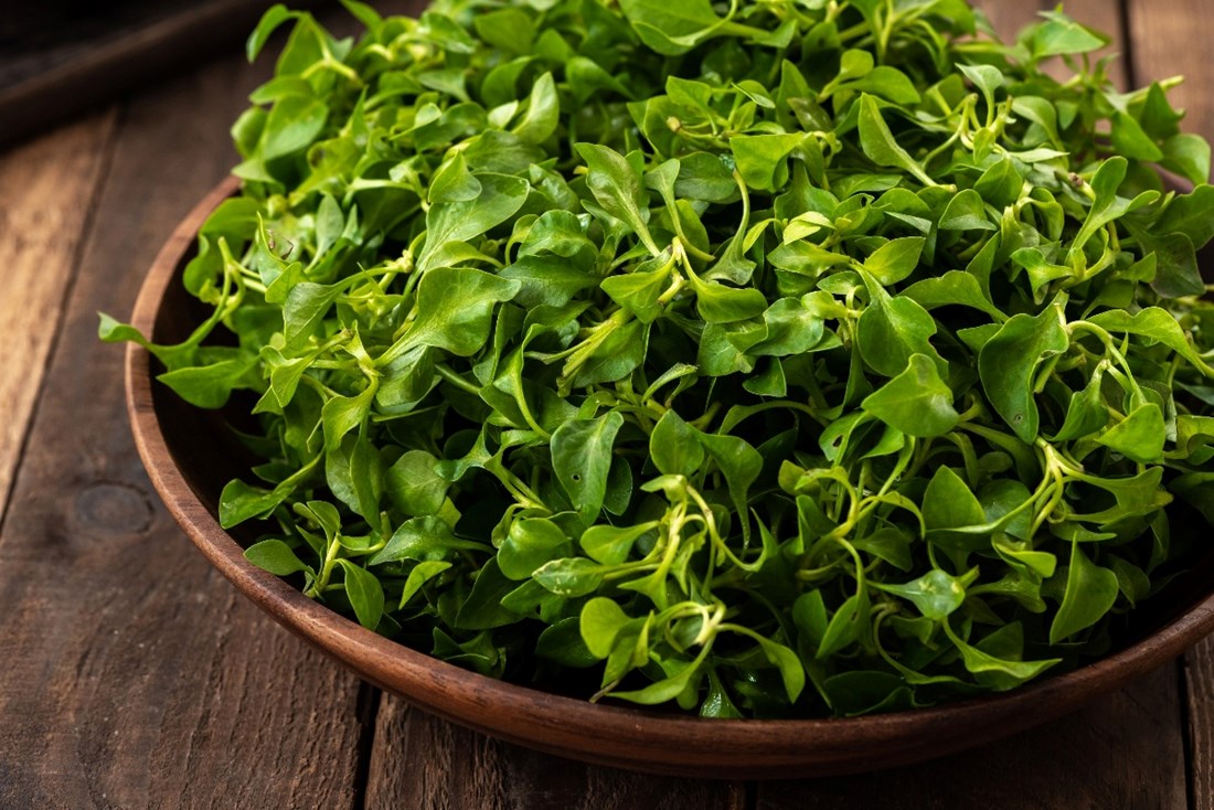 Ovo povrće zdravije je od brokule, a gotovo ga nitko ne jede