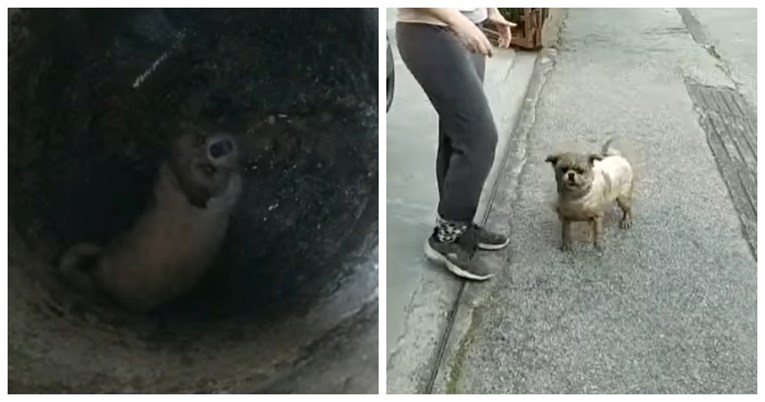 Psić u Zagrebu upao u rupu duboku dva metra. Nije sakrivao sreću kad je izvučen