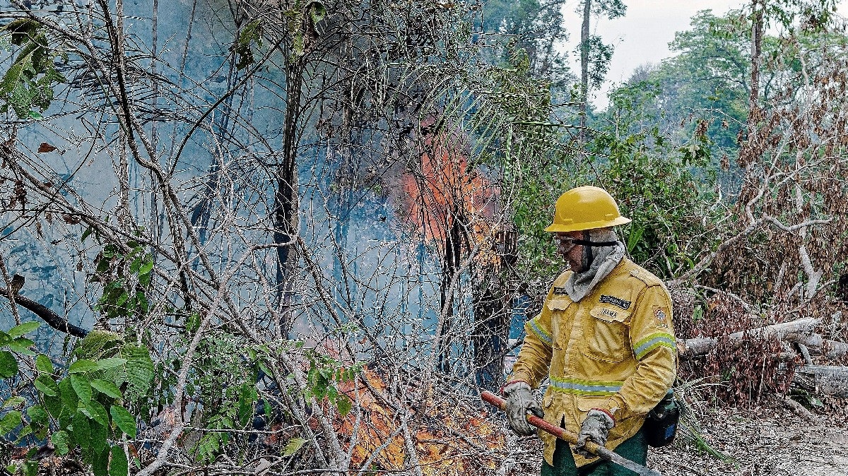 Brazil šalje vojsku radi zaštite Amazonije