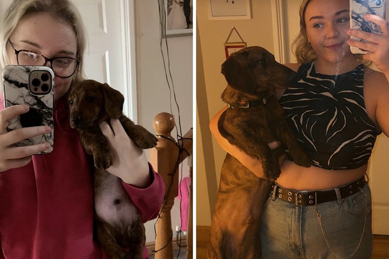 Žena kupila minijaturnog jazavčara, nije mogla vjerovati u što je izrastao