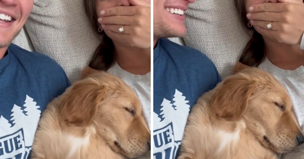 Vlasnici snimali štenca kako spava, uspjeli uhvatiti presladak trenutak