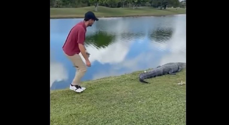 Golferu zapela loptica na aligatoru, ljudi ne vjeruju što je napravio