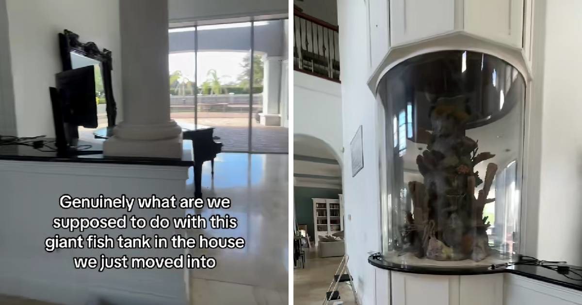 Uselila se u novu kuću pa pokazala što ju je dočekalo u kuhinji 😮