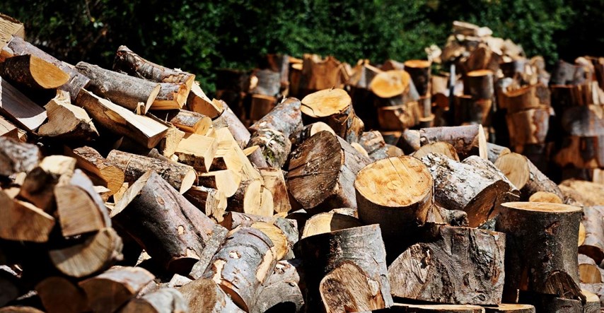 BiH produljila zabranu izvoza peleta i drva