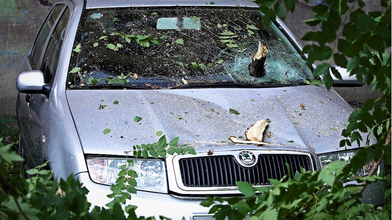 Zbog kiše i vjetra u Vukovaru ženi palo stablo na auto dok ga je vozila