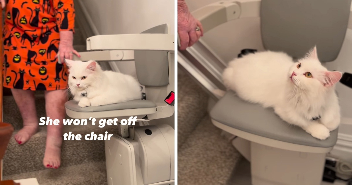 Kći zatekla nekoga na liftu za stepenice, ali to nije bila njezina 95-godišnja majka