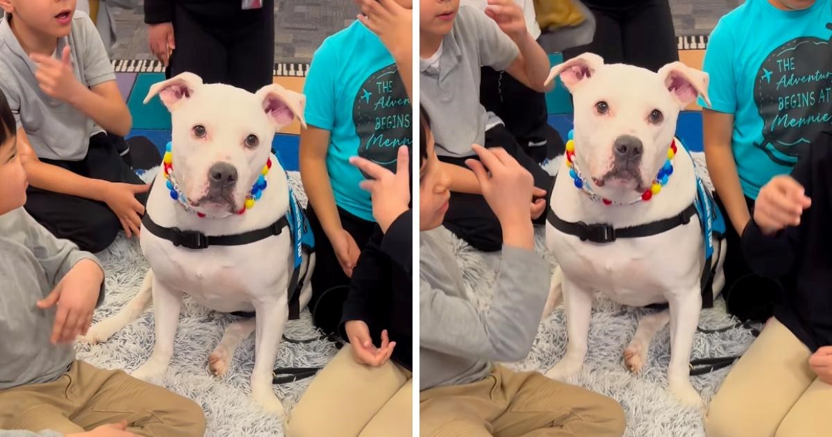 Djeca na znakovnom jeziku naučila omiljenu pjesmu školskog gluhog terapijskog psa