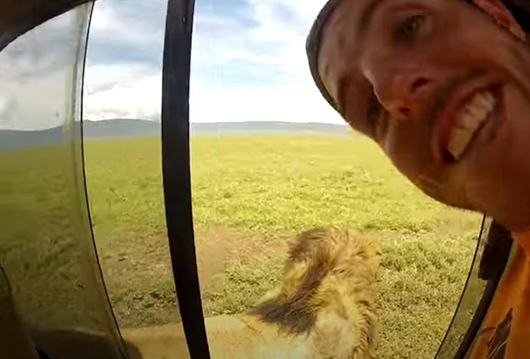 VIDEO Zbog onog što su izvodili s lavom prozvali ih "najglupljim turistima ikad"