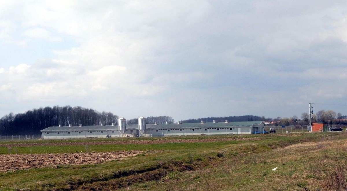 Uhićen i četvrti muškarac osumnjičen za silovanje životinja u Slavoniji