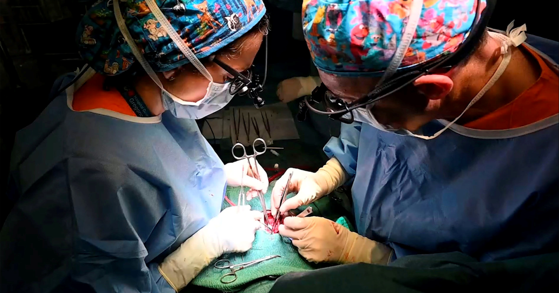 Irak je postao najveći "izvoznik" liječnika u Švedsku, stiglo ih je čak 1300