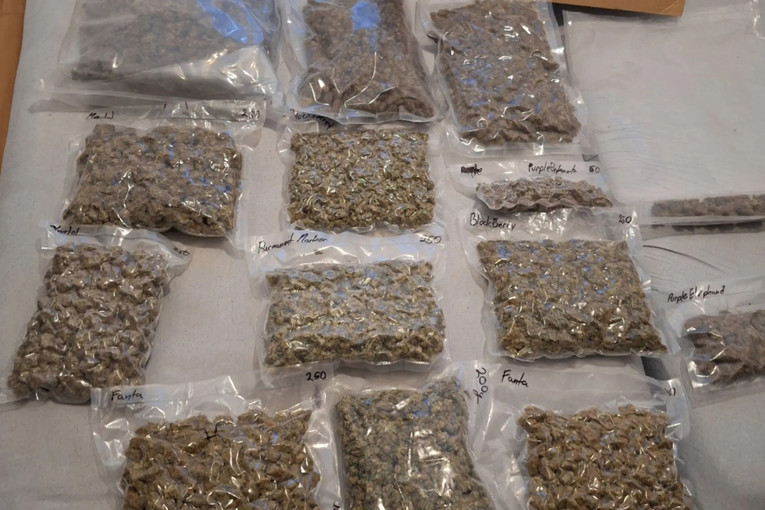 Uhvaćena velika mreža u Europi, jedan Hrvat. Droga, ubojstva, otmice...