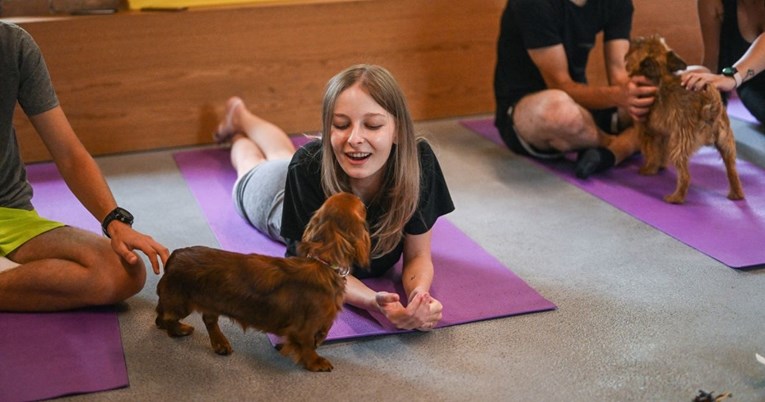 Italija zabranjuje jogu sa štencima, tvrde da je štetna za životinje
