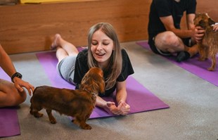 Italija zabranjuje jogu sa štencima, tvrde da je štetna za životinje
