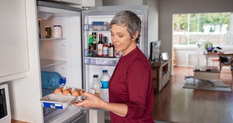 Što učiniti s hranom u hladnjaku nakon dužeg nestanka struje?