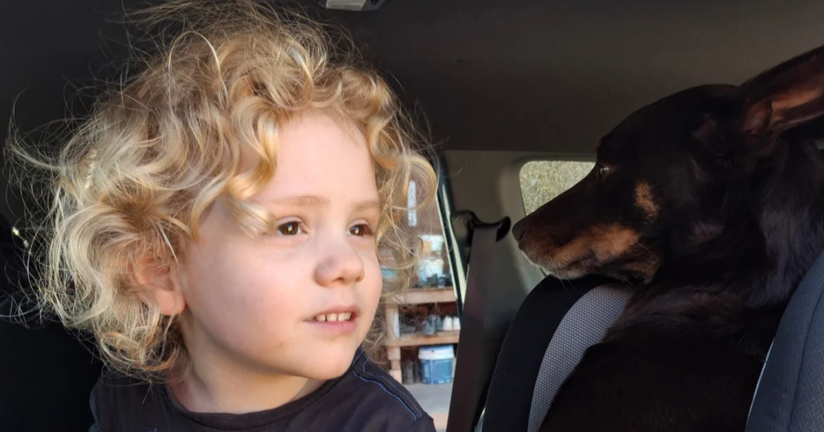 Gus (4) nestao usred australske pustoši. Godinu kasnije slučaj je još mračniji