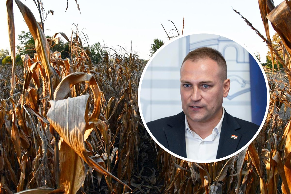 Vlajčić traži pomoć Bruxellesa. "Poljoprivrednici ne mogu svake godine ispočetka"