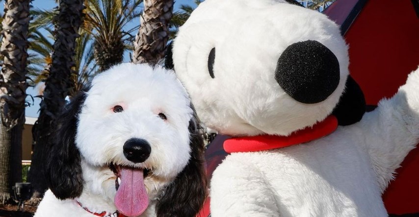 Ovaj simpatični psić postao je viralan zbog nevjerojatne sličnosti sa Snoopyjem
