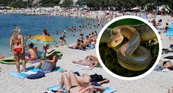 Ženu nasred plaže u Splitu ugrizla zmija: "Bilo je jako puno krvi, ugrizla me u venu"
