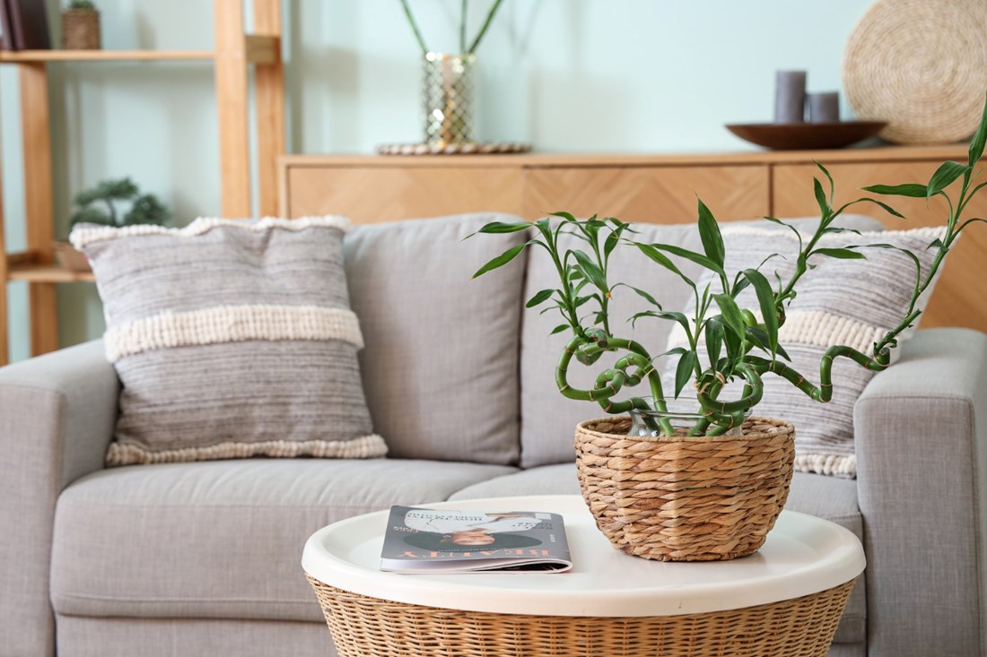 Kako urediti stolić za kavu? Zaboravite na besmislene ukraseu