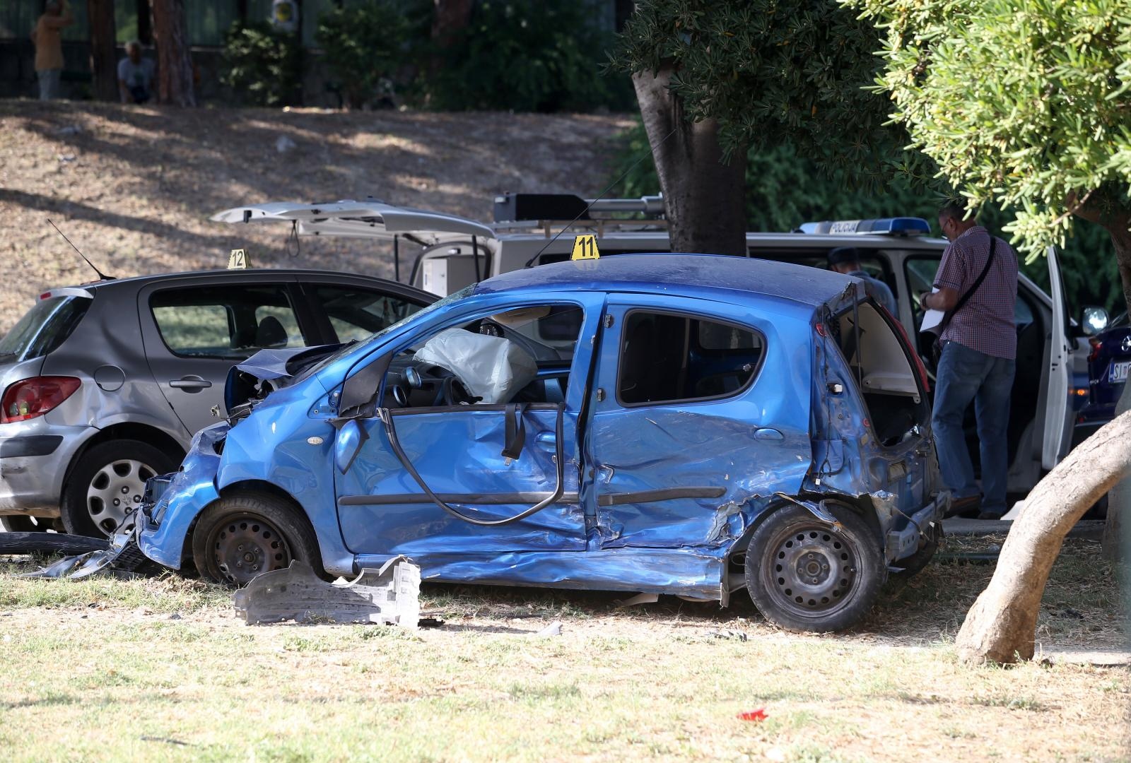 Taksist usmrtio curu jer je prošao kroz crveno: "Kihnuo sam i zatvorio oči"