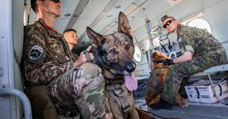Psi vojne policije bili su na vježbama sposobnosti i ocjenjivanju, pogledajte fotke