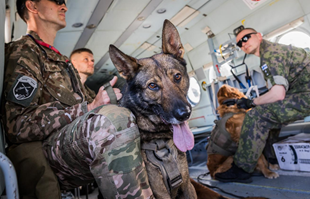 Psi vojne policije bili su na vježbama sposobnosti i ocjenjivanju, pogledajte fotke
