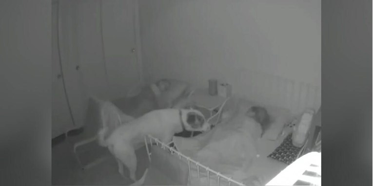 Kamera uhvatila psa kako usred noći pazi na djecu koja spavaju u krevetu
