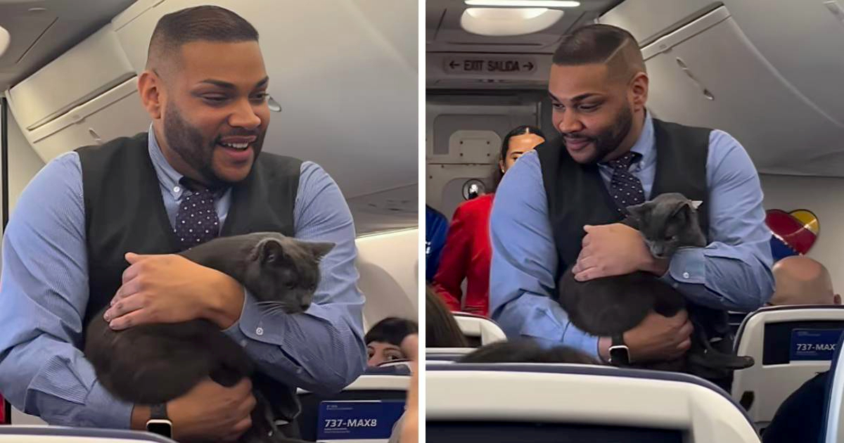 Stjuard hodao avionom s ma&#x10D;kom u rukama. Ljudi: &quot;Moja bi visjela sa stropa&quot;