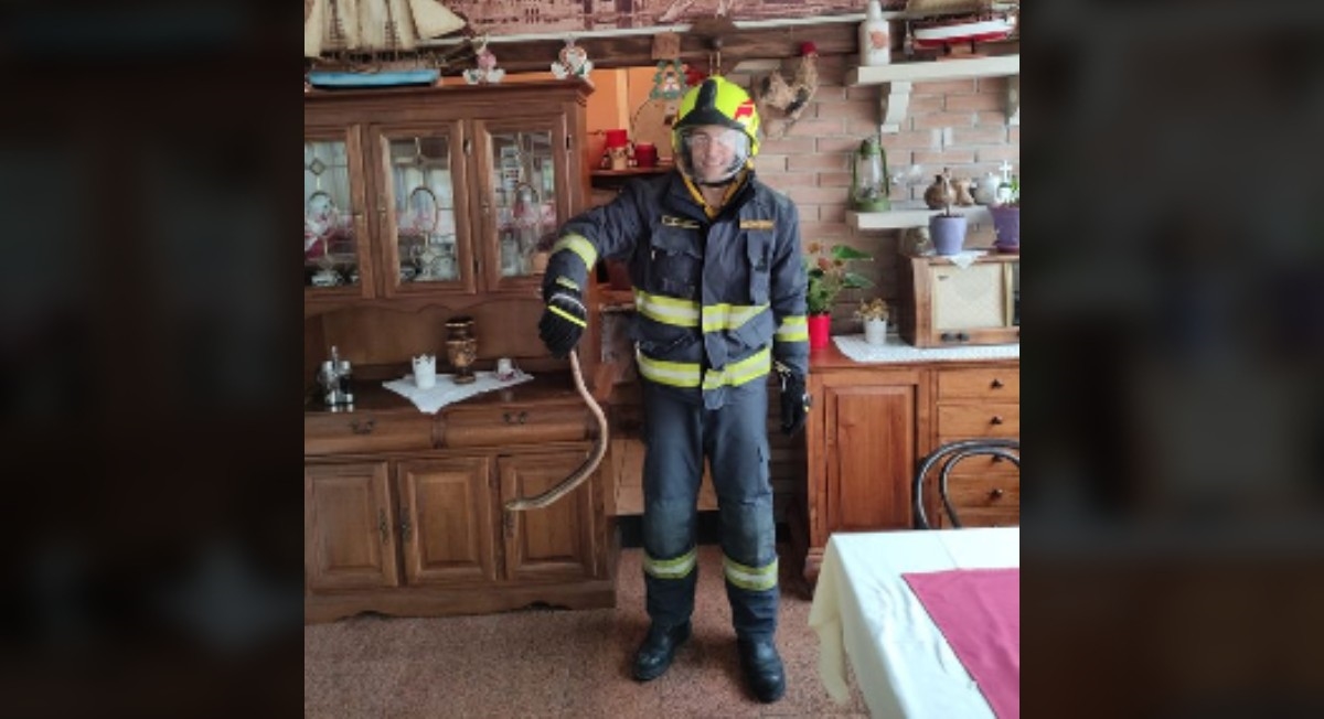 Zmija završila u restoranu u Splitu, radnici pozvali vatrogasce