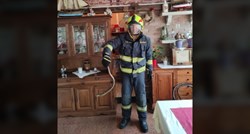 Zmija završila u restoranu u Splitu, radnici pozvali vatrogasce