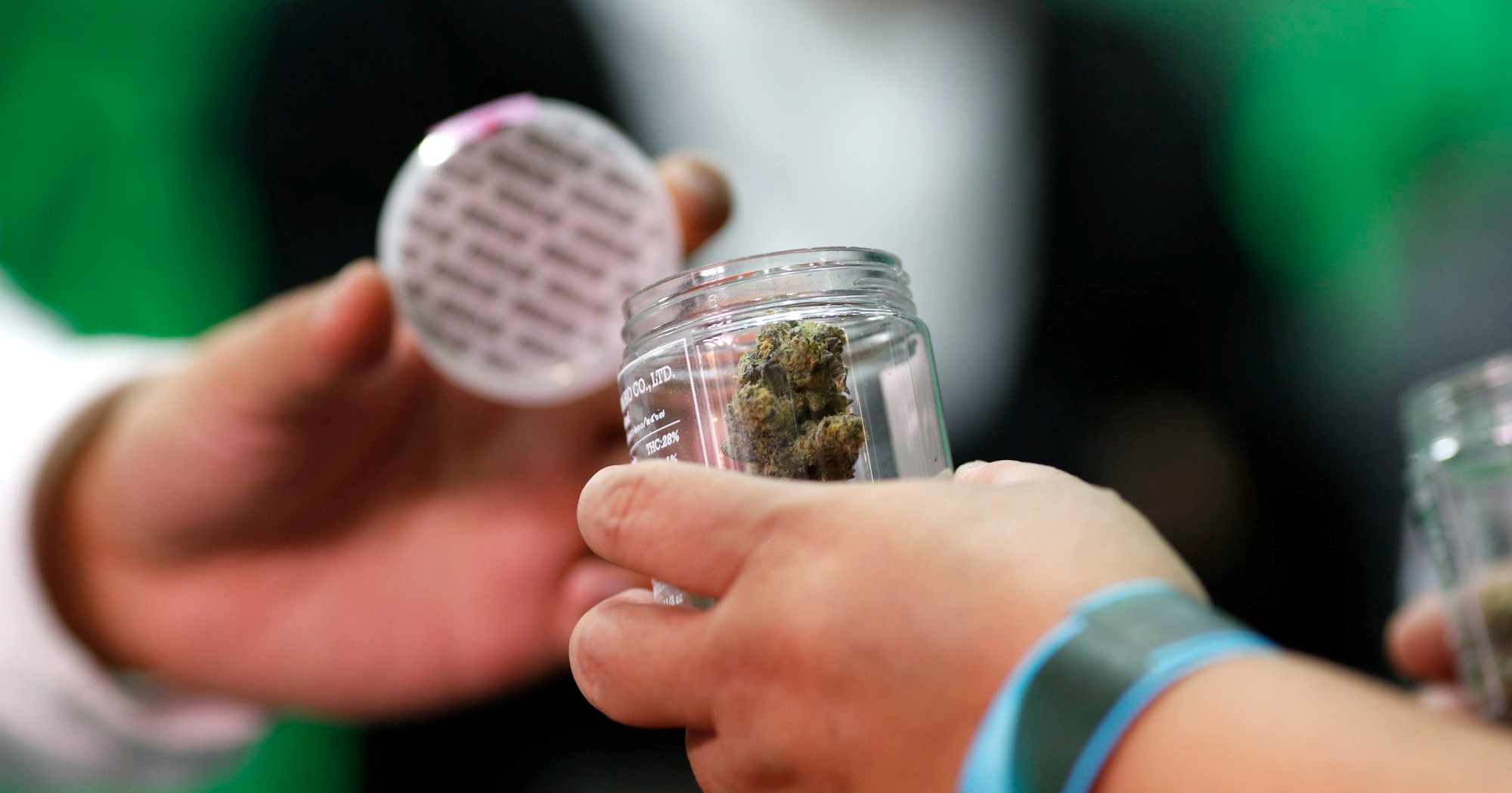 BiH legalizirala medicinski kanabis