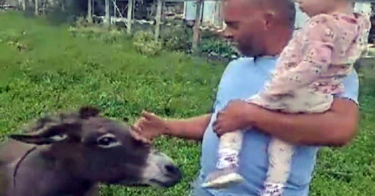 U selu kod Zadra vukovi pojeli posljednjeg magarca