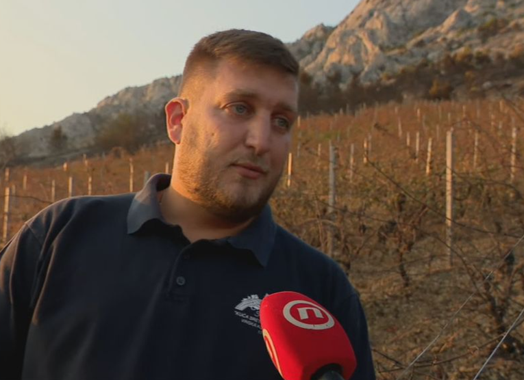 Vinogradar: Sve je nestalo u sat vremena. Iduća berba moguća je tek za 7 godina