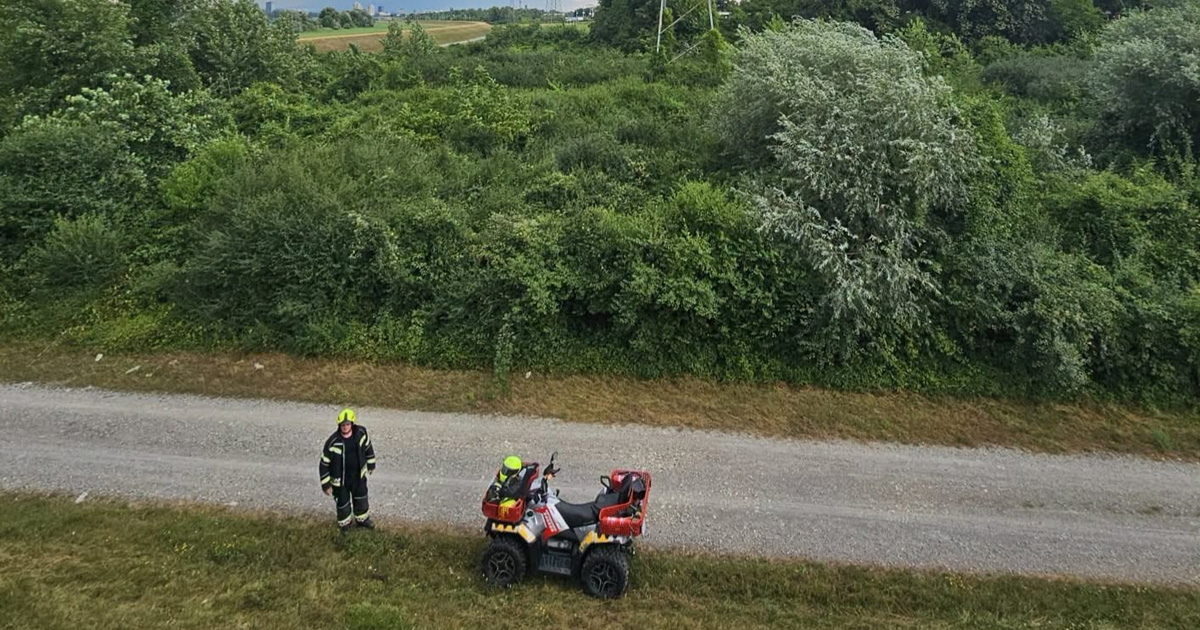Zagrebački vatrogasci: Tražio mačku pa se izgubio u šikari. Našli smo ga izgrebanog