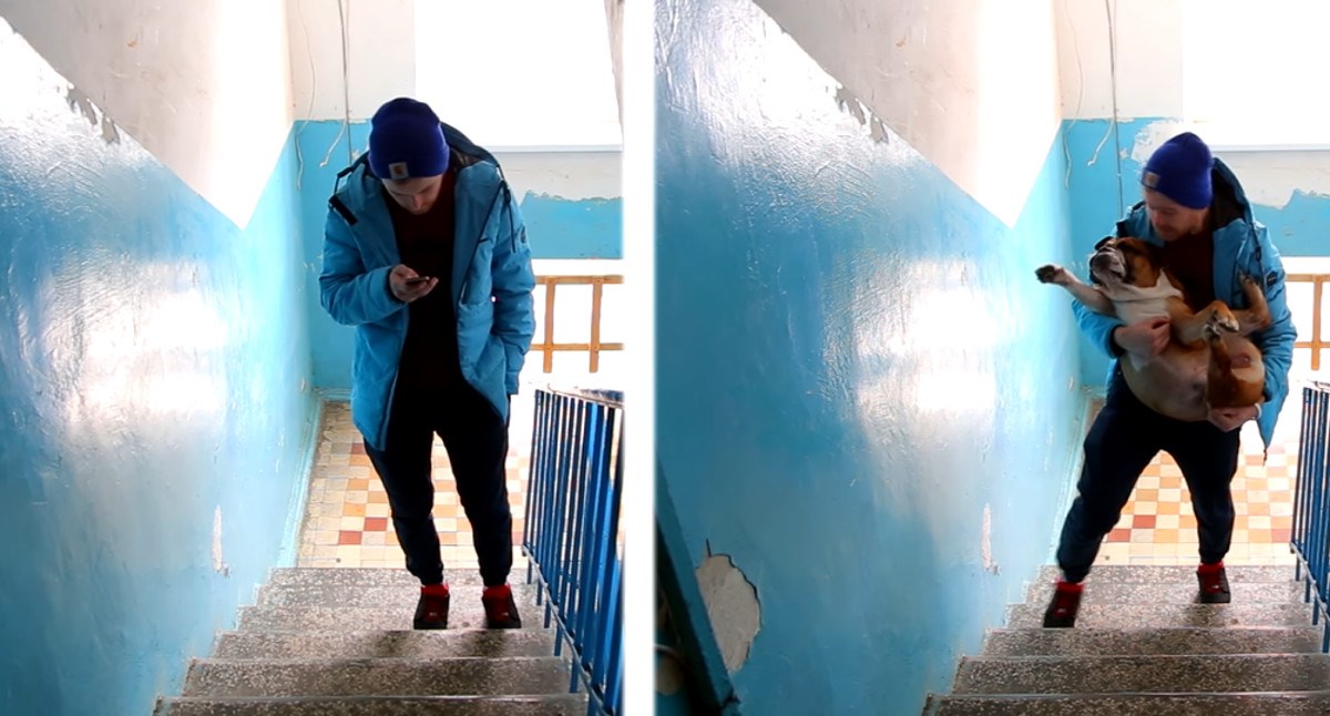 Video koji prikazuje kako izgleda život sa psom, a kako bez psa