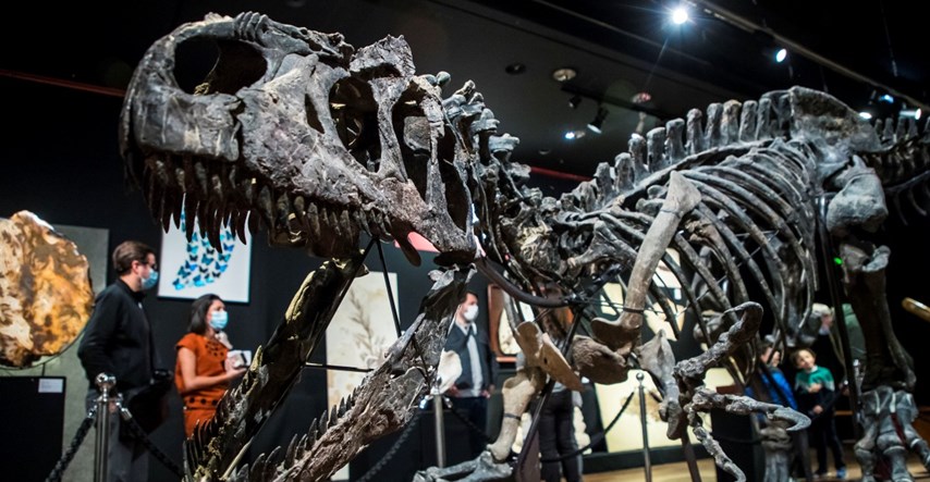 Skelet "djeda" T-Rexa prodan za više od 3 milijuna eura