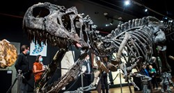 Skelet "djeda" T-Rexa prodan za više od 3 milijuna eura