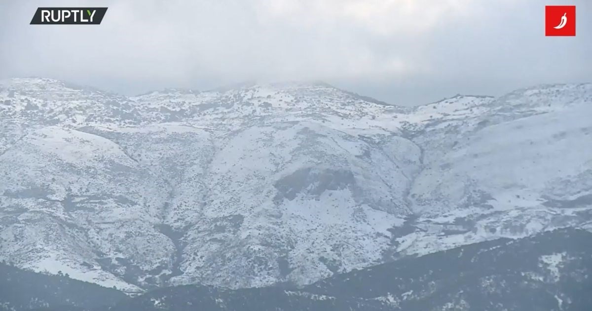 VIDEO U Alžiru prvi put u više od 10 godina pao snijeg, prizori su nevjerojatni