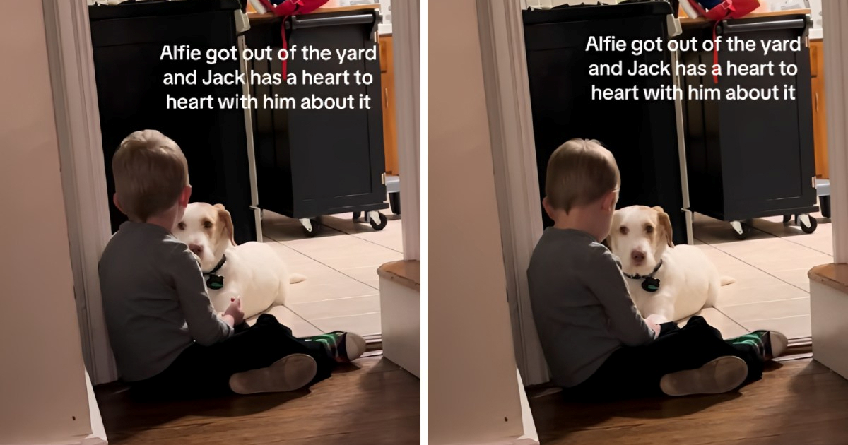Dječak objasnio psu zašto ne smije bježati od kuće, video topi srca