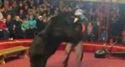 Cirkuski medvjed napao dresera usred točke, publika vrištala i bježala u panici