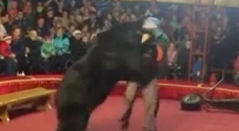 Cirkuski medvjed napao dresera usred točke, publika vrištala i bježala u panici